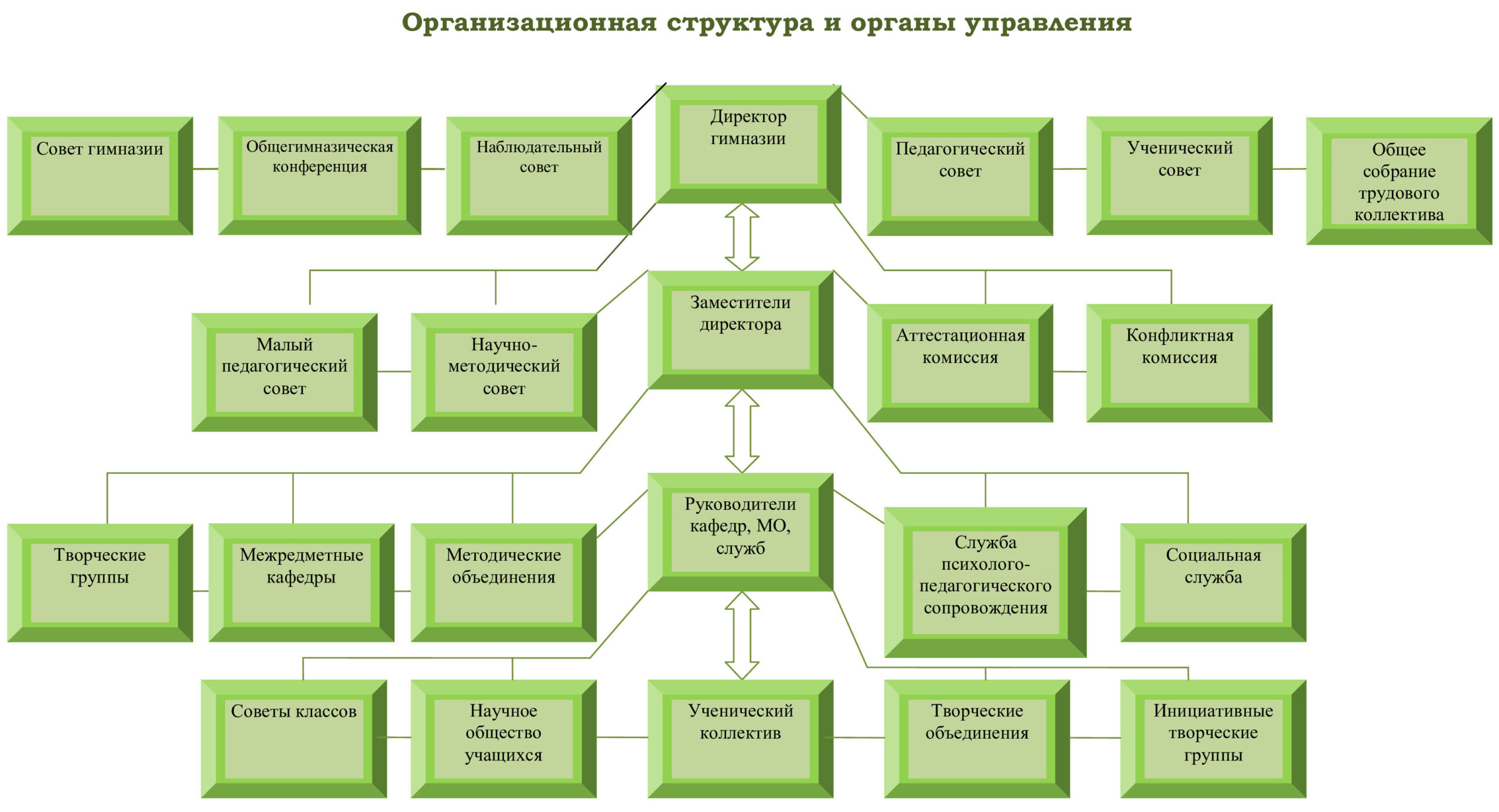 Организационная структура гимназии